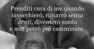 Poesia la preghiera del cane